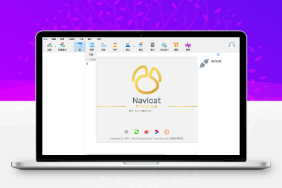Navicat Premium v17.2.7绿色版-小扎仙森